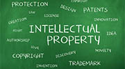 Jamaica intellectual property rights investigator